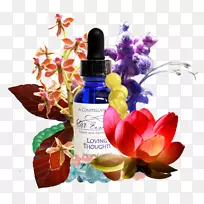 星座美元销售标记兰花-宠物脉轮曼陀罗-空若网 星座美元销售标记兰花-宠物脉轮曼陀罗-空若网