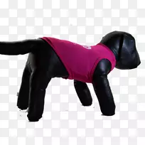 狗毛鼻子黑色m-粉红色金银狗领-空若网 狗毛鼻子黑色m-粉红色金银狗领-空若网