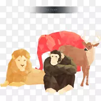 狮子贴墙贴纸汽车插图.低聚动物-空若网 狮子贴墙贴纸汽车插图.低聚动物-空若网