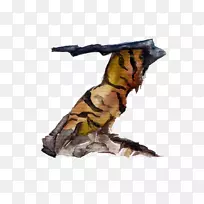 老虎动物野生动物-萨尔瓦多达利艺术家大象-空若网 老虎动物野生动物-萨尔瓦多达利艺术家大象-空若网