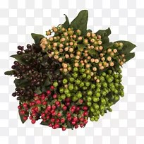 ����ʳƷ����ˮ���߲�.��˿��ݮ-������