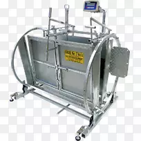 绵羊小型反刍动物研究牛槽表.牲畜鳞片-空若网 绵羊小型反刍动物研究牛槽表.牲畜鳞片-空若网