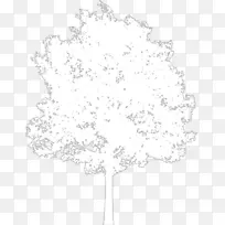 开花植物系黑色分枝灌木树荫-空若网 开花植物系黑色分枝灌木树荫-空若网