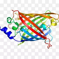 剪贴画线产品点-荧光水母-空若网 剪贴画线产品点-荧光水母-空若网