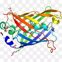 剪贴画线有机体产品点-荧光水母-空若网 剪贴画线有机体产品点-荧光水母-空若网