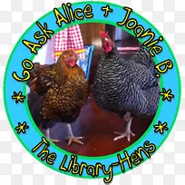 ����ʳ��-ȥ�ʰ���˿-������