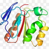 �������л��������鱦.ӫ��ˮĸAequorea-������