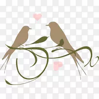 爱情鸟夹艺术脊椎动物png图片.爱情鸟新娘淋浴-空若网 爱情鸟夹艺术脊椎动物png图片.爱情鸟新娘淋浴-空若网