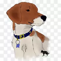 Ȯ��С����Ȯ����-�ȸ�ʵ���һ��-������