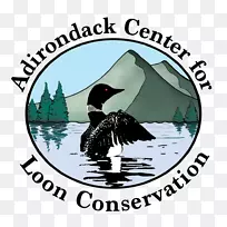 阿迪朗达克难民营,阿迪朗达克鸟类保护中心,水鸟-阿迪朗达克山脉-空若网 阿迪朗达克难民营,阿迪朗达克鸟类保护中心,水鸟-阿迪朗达克山脉-空若网