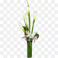 ��������л���ƿ����Բ���λ�ƿ����-������