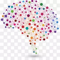 脑损伤,神经科学,创伤性脑损伤,脑肿瘤,脑化学物质-空若网 脑损伤,神经科学,创伤性脑损伤,脑肿瘤,脑化学物质-空若网