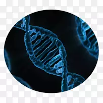 ��������ѧ��ѧ�о���ѧ����-Ӱ��רҵ���-������