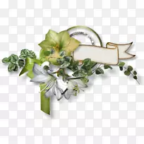 pngͼƬ��������ͼƬgif adobe Photoshop-ά��������羰-������