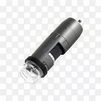 迪诺-空若网 迪诺-空若网