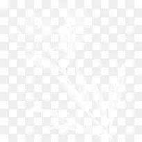 ��������ʿ���ƽ𺣰����ˣ�Ŧ��˹����ʿ�����������ˣ��ϻ���Ϊ���������Ƶ��׵������-������