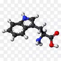 膳食补充氨基酸5-羟色氨酸-氧原子模型的建立-空若网 膳食补充氨基酸5-羟色氨酸-氧原子模型的建立-空若网