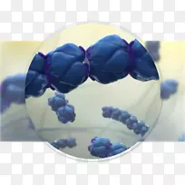 ����-Tresba�ȵ��ط���-������