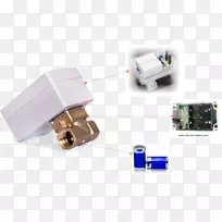 ����Ԫ������Ʒ���.С�������ܳ���-������