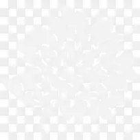 桌面壁纸图案黑色开花植物-路易菲利浦标志-空若网 桌面壁纸图案黑色开花植物-路易菲利浦标志-空若网