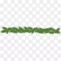 ����ݣ���ݣ�ֲ�ﾥ����ݷ�֦-÷�ܶ����̣����ۻ���-������