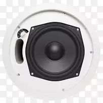 低音炮扩音器SpeakerCast 16.0-ch。功率放大器sc16-50计算机扬声器室外声纳系统-空若网 低音炮扩音器SpeakerCast 16.0-ch。功率放大器sc16-50计算机扬声器室外声纳系统-空若网