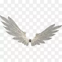 ��������png�����������Ӱ��е���ë��-������