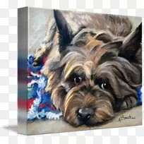 约克郡小猎犬凯恩猎犬澳洲丝绸猎犬澳洲猎犬西高地白色猎犬玛丽麻雀画-空若网 约克郡小猎犬凯恩猎犬澳洲丝绸猎犬澳洲猎犬西高地白色猎犬玛丽麻雀画-空若网