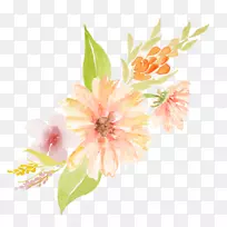 ������ƣ���֦�����գ�������ֲ��-ȫ��ȫ��ذ��ϵۡ�-������