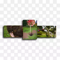 �޼�����-������