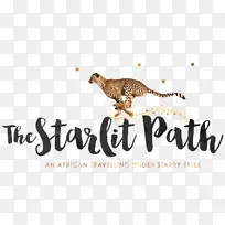 è���ƶ������-Ӣ������ԡ-������