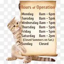 胡须猫鼻子字体照片-乡亲分类-空若网 胡须猫鼻子字体照片-乡亲分类-空若网