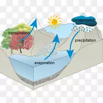 水循环全国中学接线图中学显微镜工作表中学-空若网 水循环全国中学接线图中学显微镜工作表中学-空若网