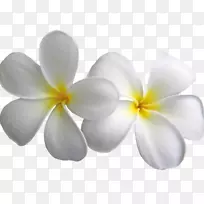 �ֳ�ʽ����ͼ�������ֽ������ͼƬ��ɫ�����-������