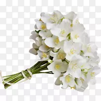 ����������.����-������