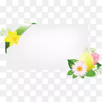 复活节甘菊-空若网 复活节甘菊-空若网