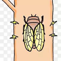 昆虫剪贴画插图ガールズちゃんねる-昆虫-空若网 昆虫剪贴画插图ガールズちゃんねる-昆虫-空若网