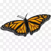 帝王蝶夹艺术昆虫梯度网格-空若网 帝王蝶夹艺术昆虫梯度网格-空若网