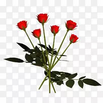 切花玫瑰画-玫瑰-空若网 切花玫瑰画-玫瑰-空若网