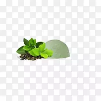 绿茶联合利华立顿系列氨基酸膳食补充剂-迷你茶袋标签-空若网 绿茶联合利华立顿系列氨基酸膳食补充剂-迷你茶袋标签-空若网