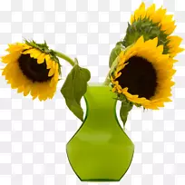 普通向日葵花瓶-向日葵-空若网 普通向日葵花瓶-向日葵-空若网