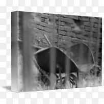 �ڰ������Ӱ.����Ͳ-������