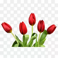 �����㻨������-������-������