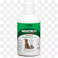 我鼻子上的牙菌斑-止痛药狗-空若网 我鼻子上的牙菌斑-止痛药狗-空若网