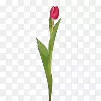 �����㻨��������-������-������