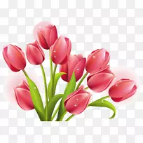 郁金香狂躁插花剪裁艺术郁金香-空若网 郁金香狂躁插花剪裁艺术郁金香-空若网