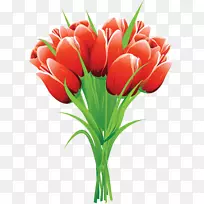 郁金香花束剪贴画-郁金香-空若网 郁金香花束剪贴画-郁金香-空若网