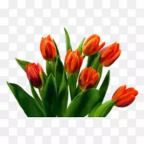 ������-������