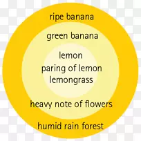 标志字体组织品牌幸福-澳大利亚热带雨林香蕉树-空若网 标志字体组织品牌幸福-澳大利亚热带雨林香蕉树-空若网