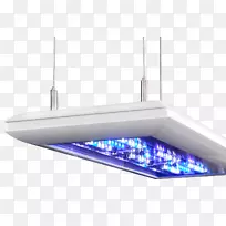 Giesemann vervve安装臂水族馆照明giesemann futura的海洋浇灌金属灯产品-空若网 Giesemann vervve安装臂水族馆照明giesemann futura的海洋浇灌金属灯产品-空若网